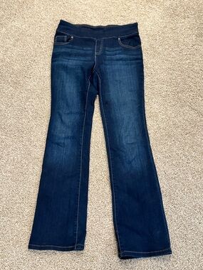 The Pioneer Woman Dark Blue Flared Jeans